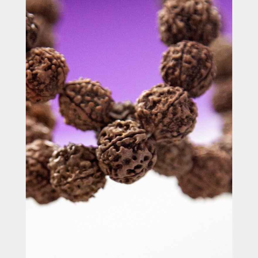108 Large (18mm) Bead Rudraksha Mala
