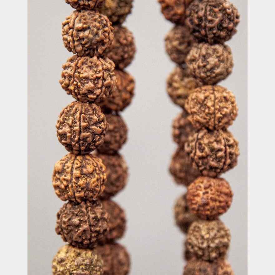 108 Large (18mm) Bead Rudraksha Mala
