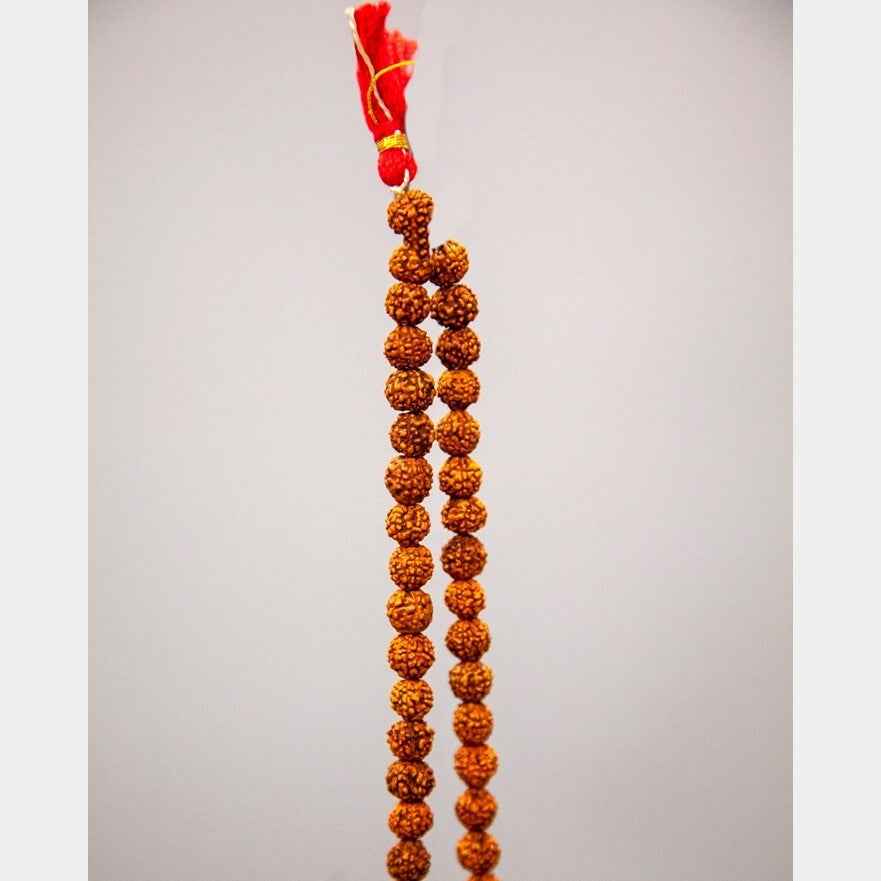 108 Small 8mm Bead Rudraksha Mala
