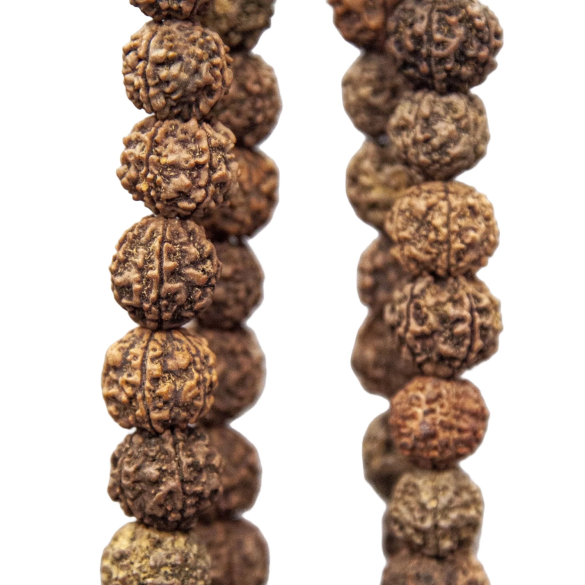 108 Large (18mm) Bead Rudraksha Mala - Prayer Beads - Bellbazaar.com - GW015