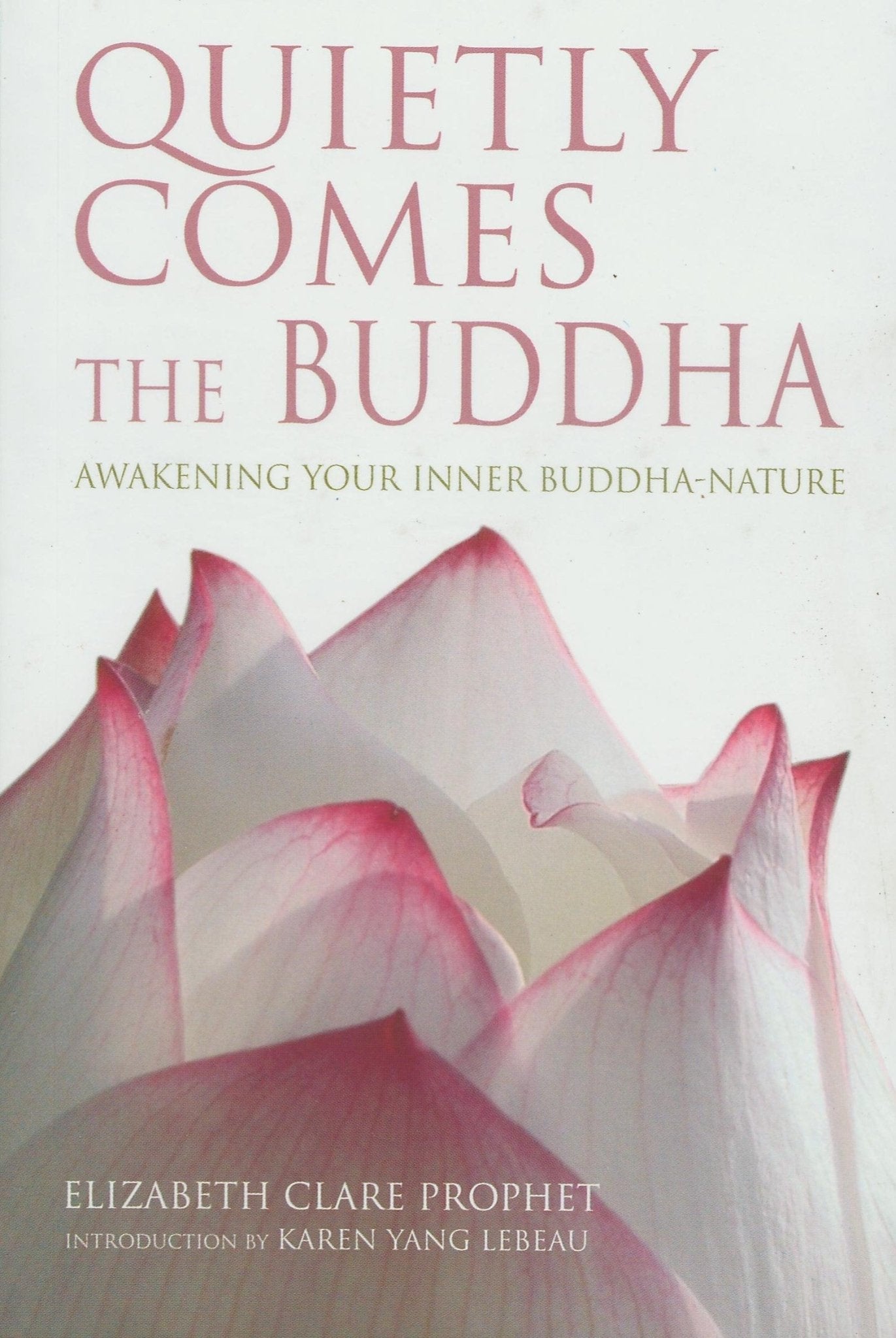 Quietly Comes the Buddha - Print Books - Bellbazaar.com - 8179926397